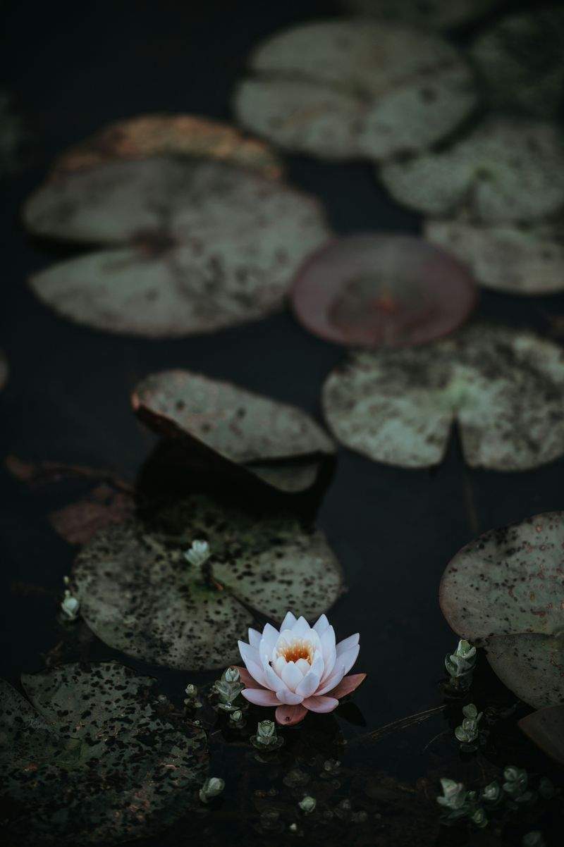 The Benefits of Early Morning Yoga Sessions
